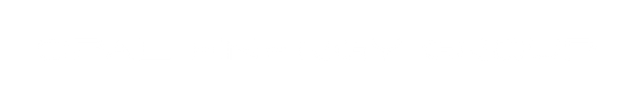 Opal Energy Group Logo